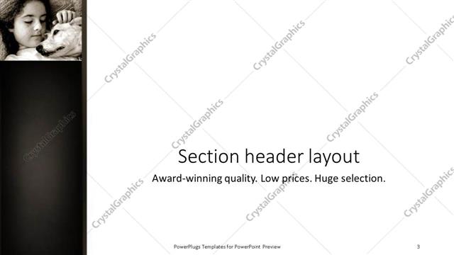 Section Header presentation slide layout