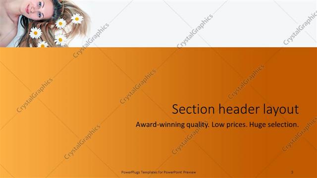 Section Header presentation slide layout