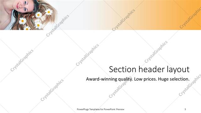 Section Header presentation slide layout