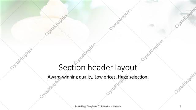 Section Header presentation slide layout