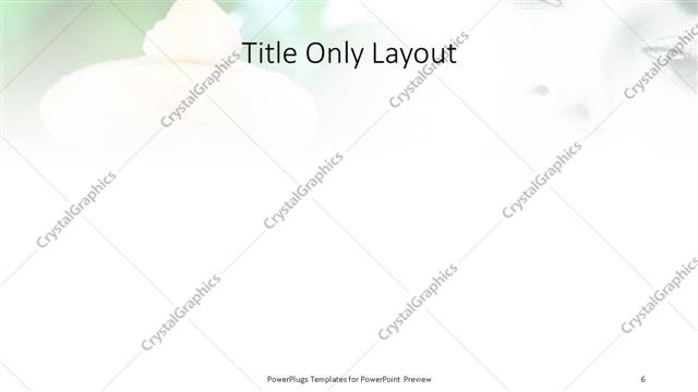 Title Only presentation slide layout