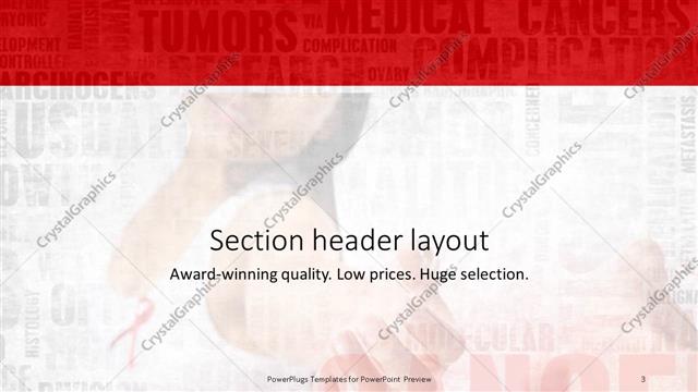 Section Header presentation slide layout