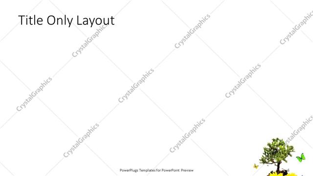 Title Only presentation slide layout