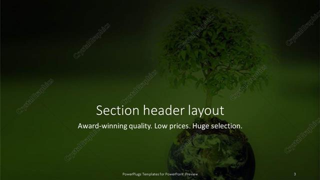 Section Header presentation slide layout