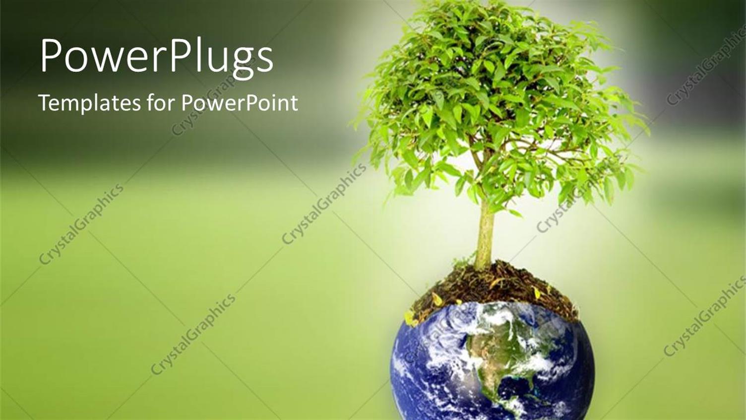 Premium Template for PowerPoint & Google Slides 