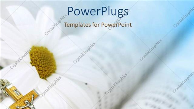  Presentation with daisy - Gold crucifix with white daisy on open Bible