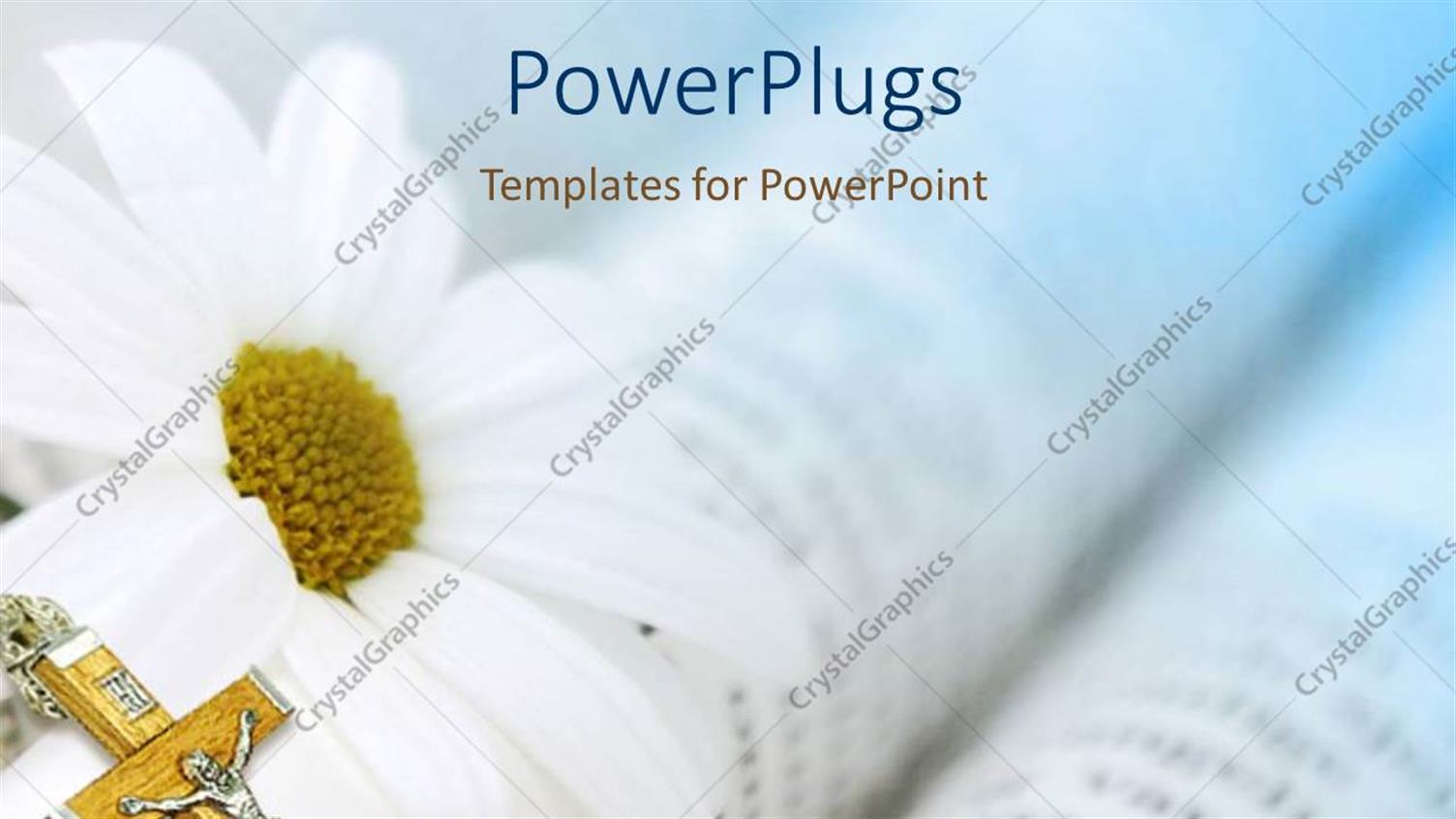 Premium Template for PowerPoint & Google Slides 