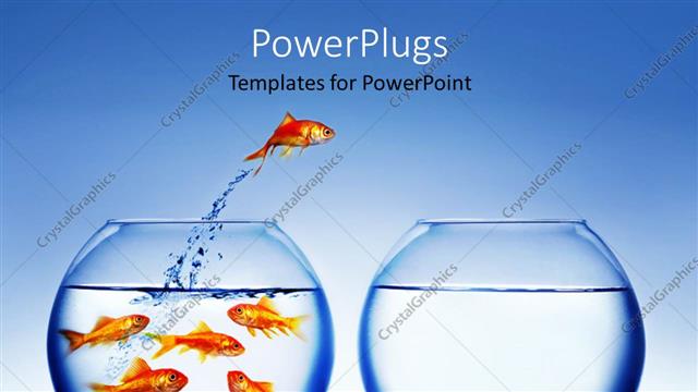  Presentation with bowl - Gold fish jumping from full fishbowl to empty bowl