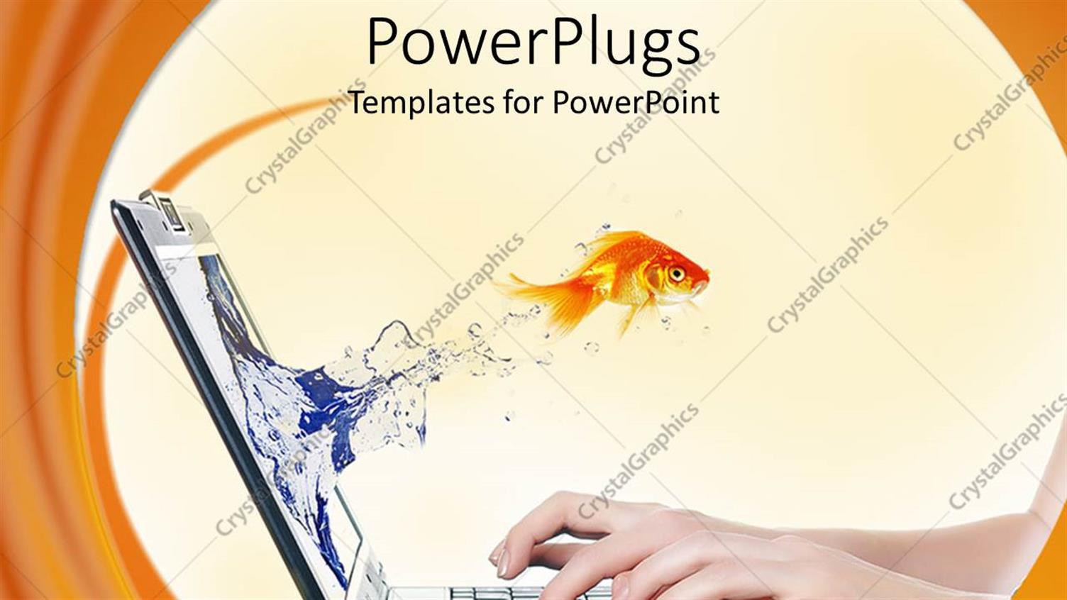 Featuring Gold Fish from a Laptop Screen with a Human Typing