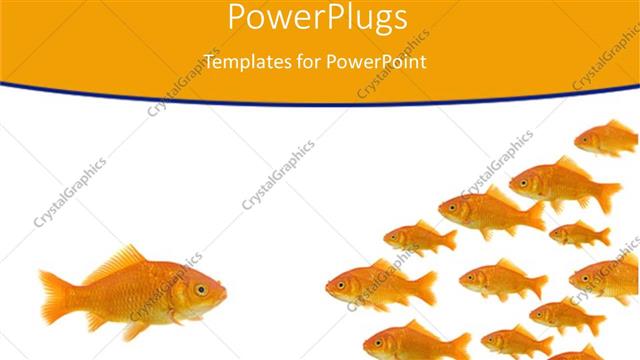  Presentation with leader - Gold fish leader stands out in crowd orange background