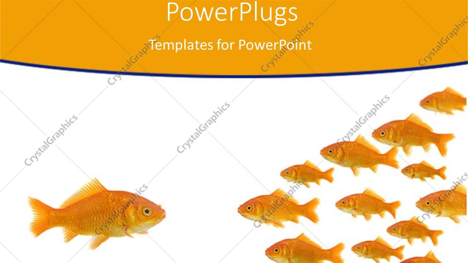 Premium Template for PowerPoint & Google Slides 