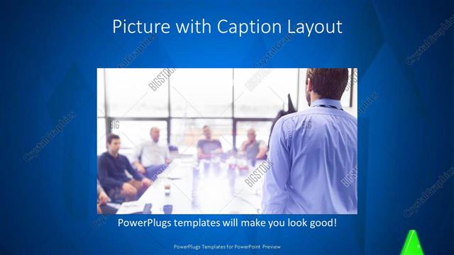 Picture with Caption presentation slide layout
