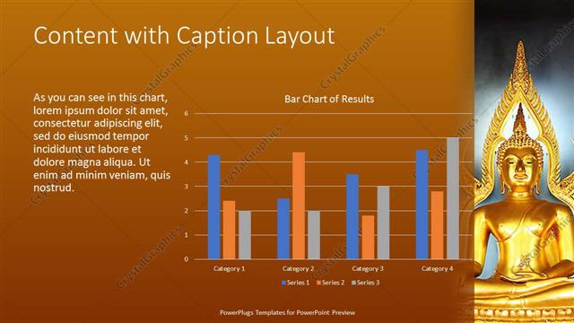 Content with Caption presentation slide layout