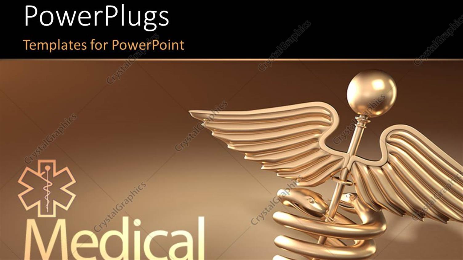 Premium Template for PowerPoint & Google Slides 