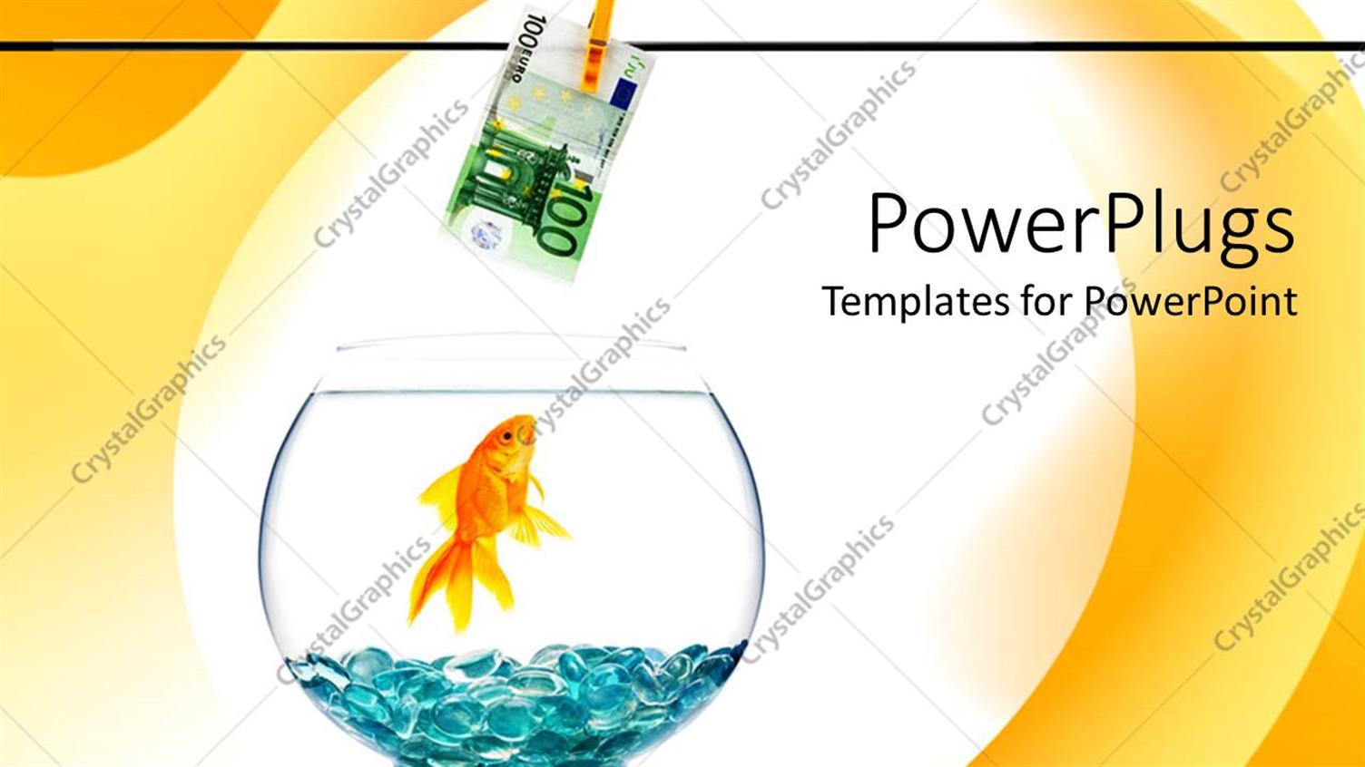 Featuring a Goldfish in an Aquarium and a Currency Note on Top of Aquarium