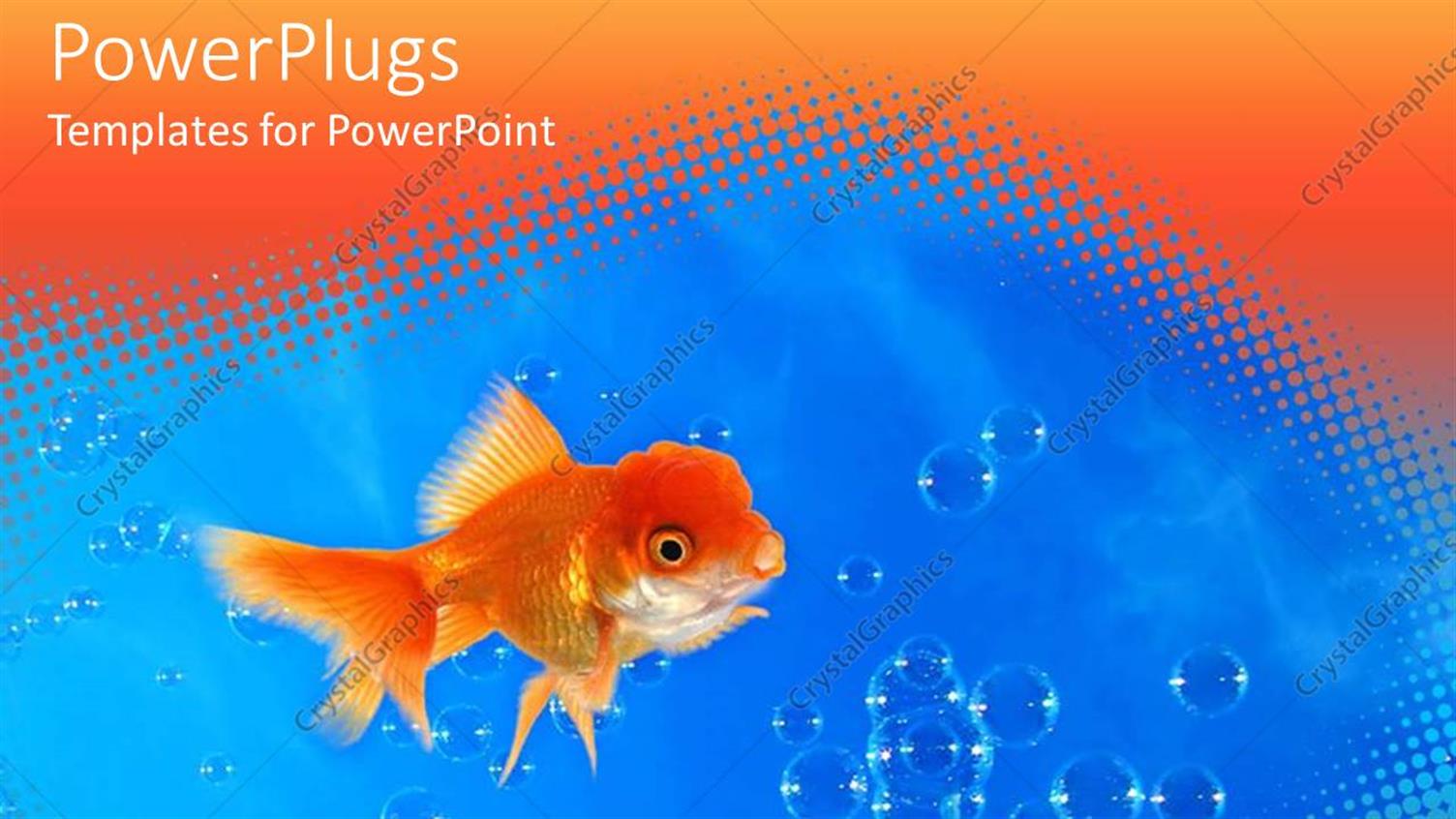 Premium Template for PowerPoint & Google Slides 