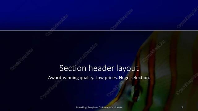 Section Header presentation slide layout
