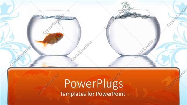  Presentation with goldfish - Goldfish leaping from one bowl to another fish's bowl, blue and white background