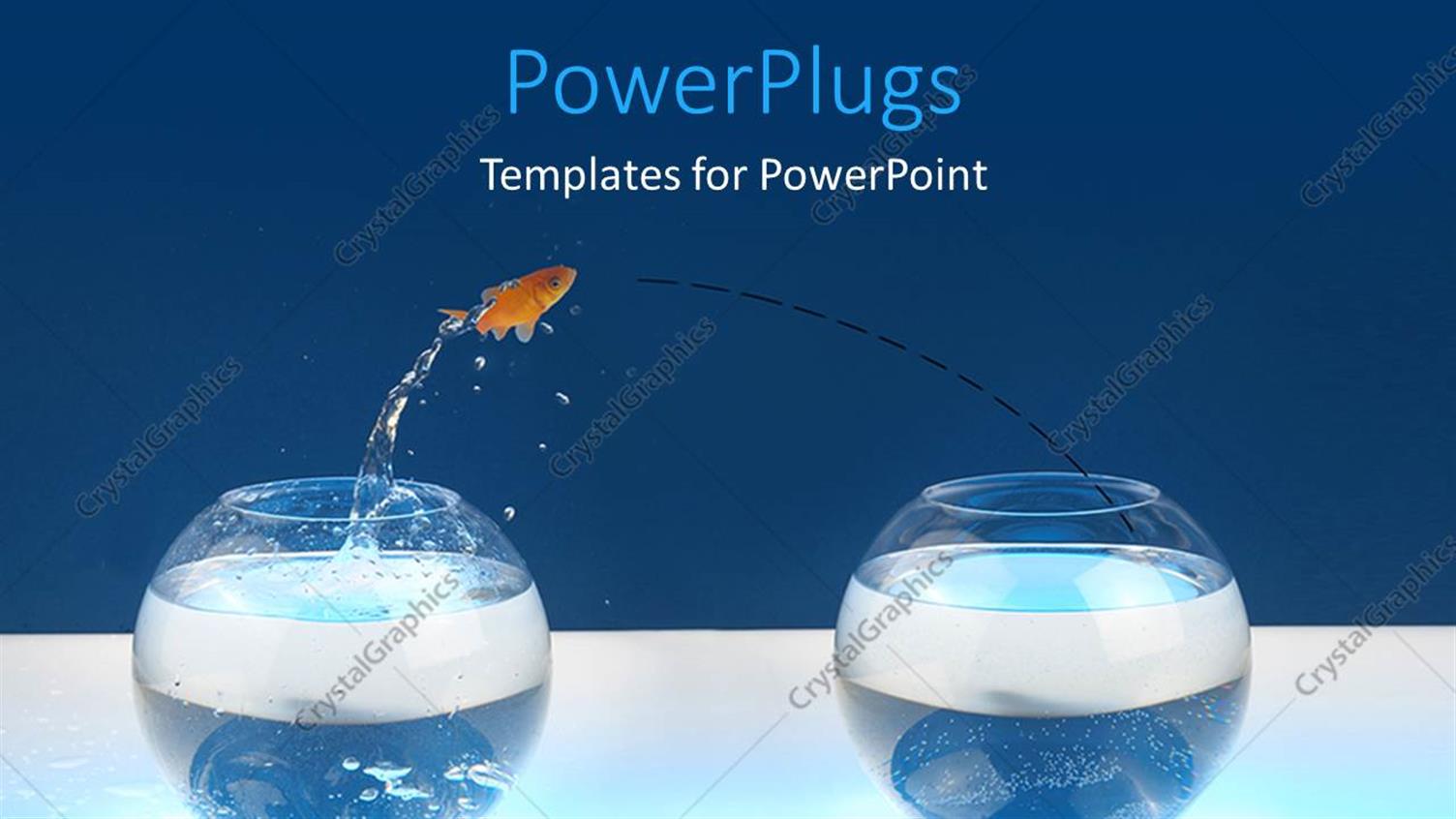 Featuring Goldfish Takes Jump from One Aquarium to Another on Blue Background