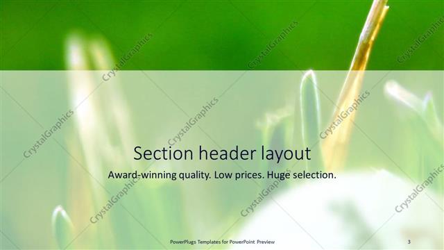 Section Header presentation slide layout