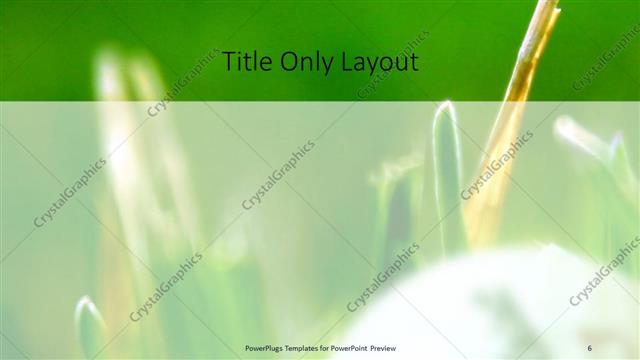 Title Only presentation slide layout