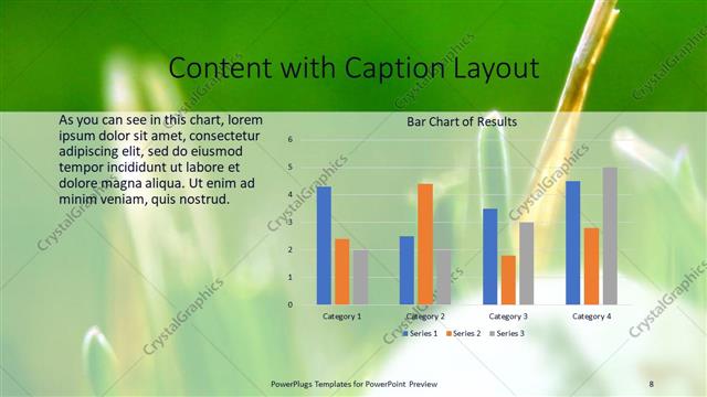 Content with Caption presentation slide layout