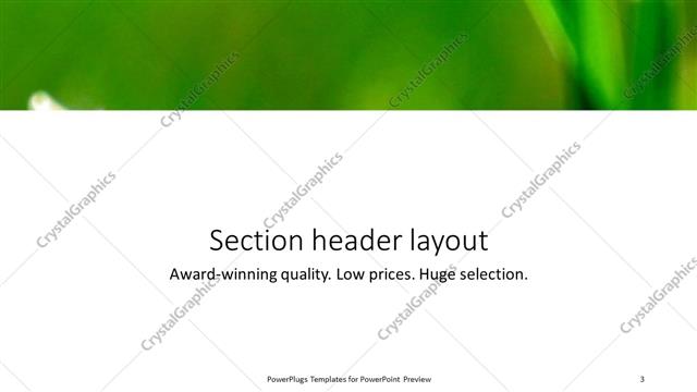 Section Header presentation slide layout