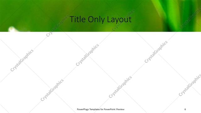 Title Only presentation slide layout