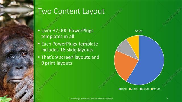 Two Content presentation slide layout
