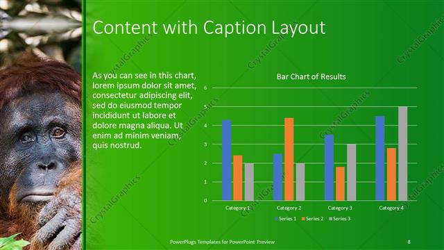 Content with Caption presentation slide layout