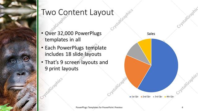 Two Content presentation slide layout