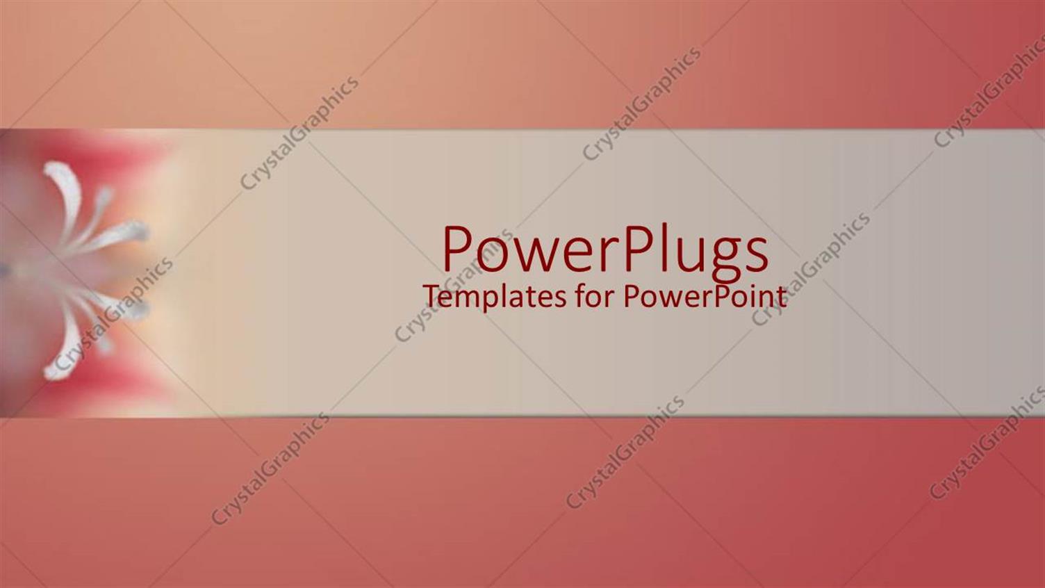 Premium Template for PowerPoint & Google Slides 