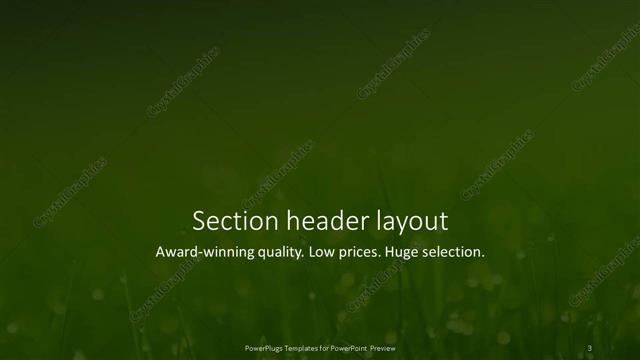 Section Header presentation slide layout