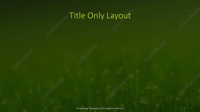 Title Only presentation slide layout