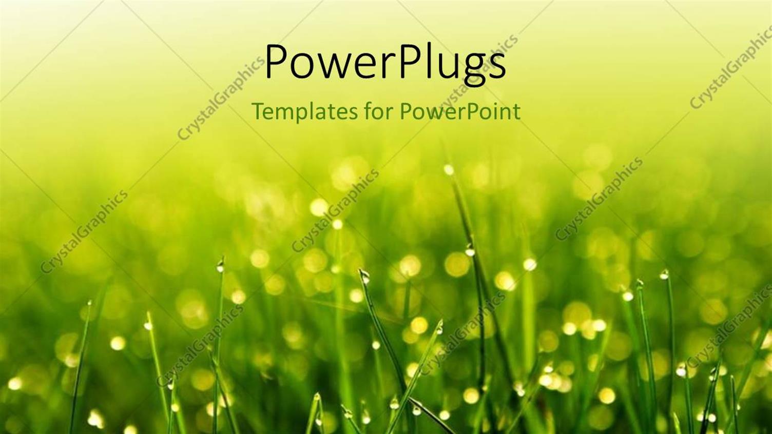 Premium Template for PowerPoint & Google Slides 