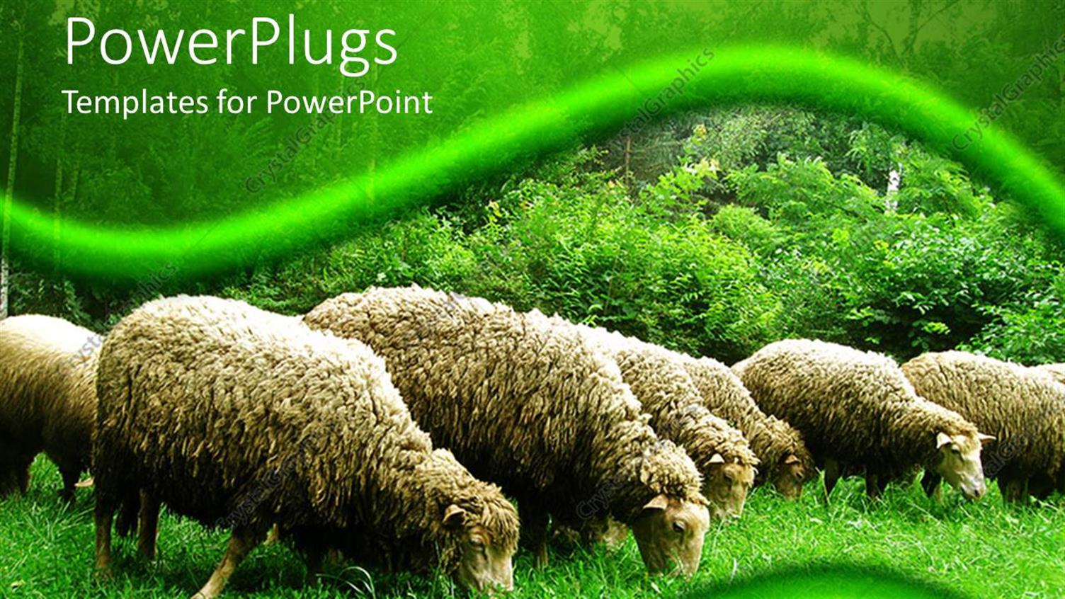 Premium Template for PowerPoint & Google Slides 