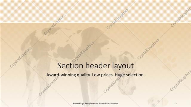 Section Header presentation slide layout