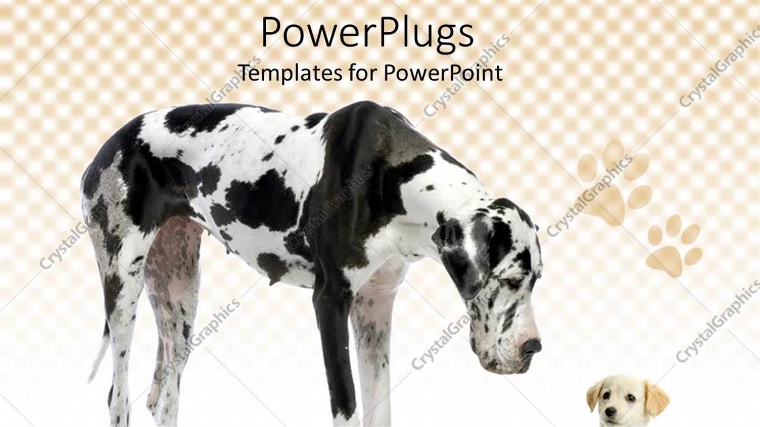 Premium Template for PowerPoint & Google Slides 