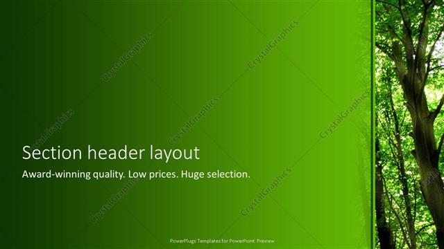 Section Header presentation slide layout