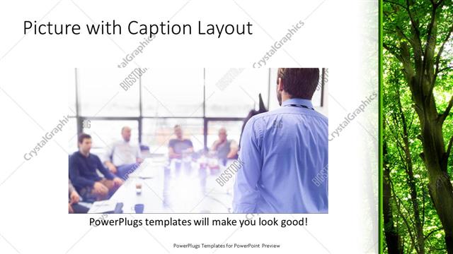 Picture with Caption presentation slide layout