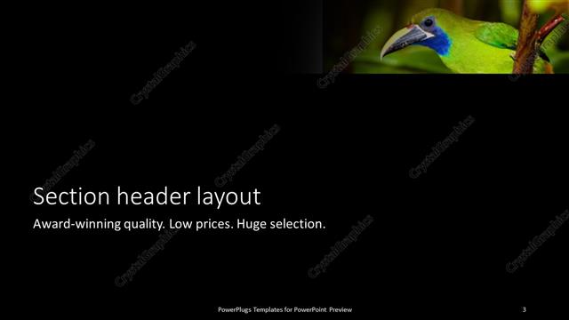 Section Header presentation slide layout