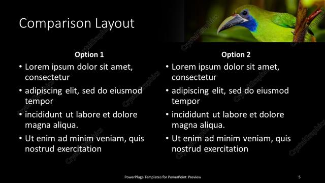 Comparison presentation slide layout