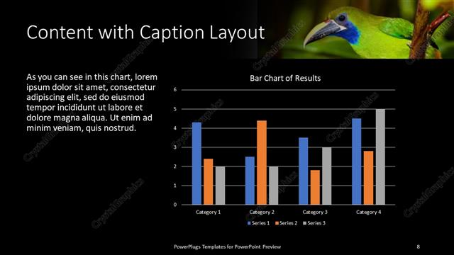 Content with Caption presentation slide layout