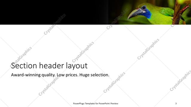 Section Header presentation slide layout