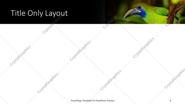 Title Only presentation slide layout