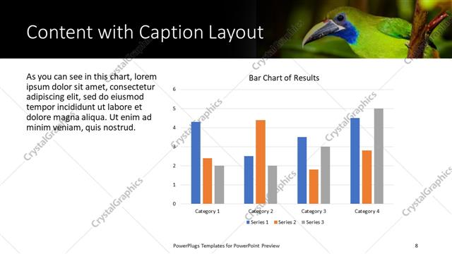 Content with Caption presentation slide layout