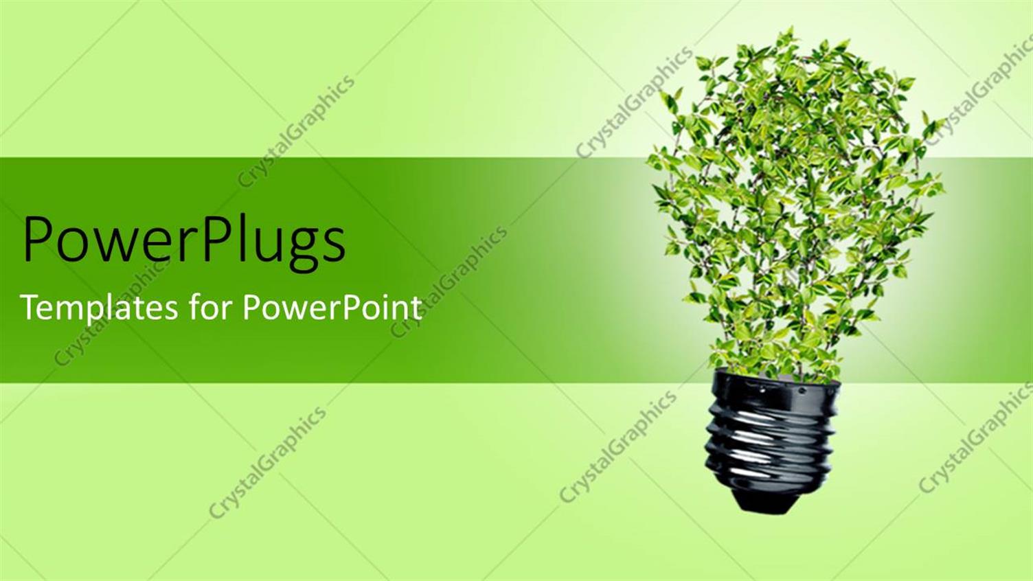 Premium Template for PowerPoint & Google Slides 