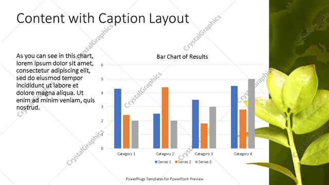 Content with Caption presentation slide layout