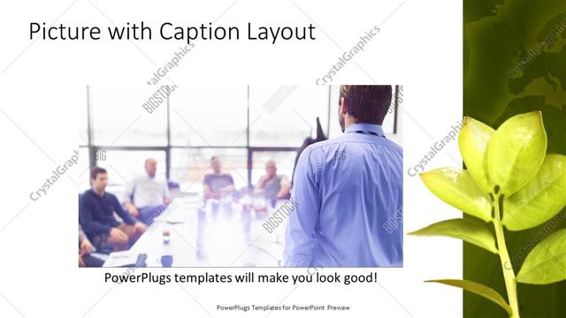 Picture with Caption presentation slide layout