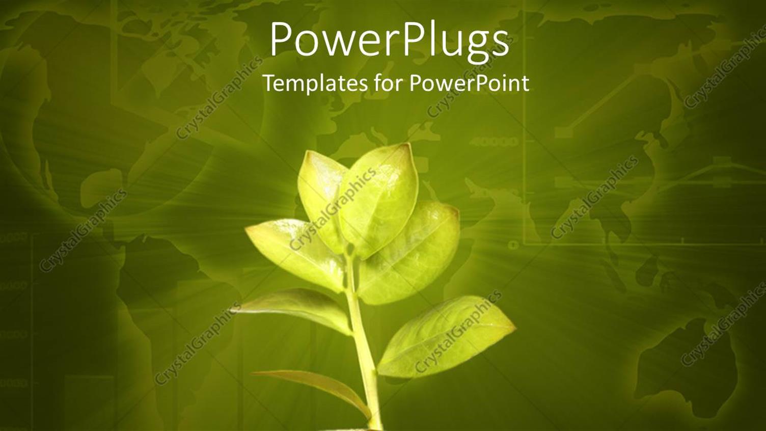 Premium Template for PowerPoint & Google Slides 